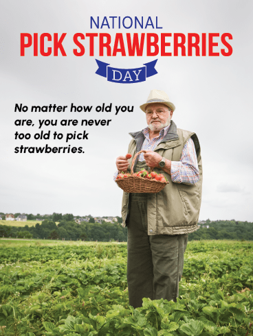Never Too Old – National Pick Strawberries Cards