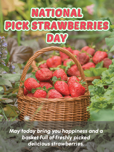 Basket Full Of Happiness – National Pick Strawberries Cards