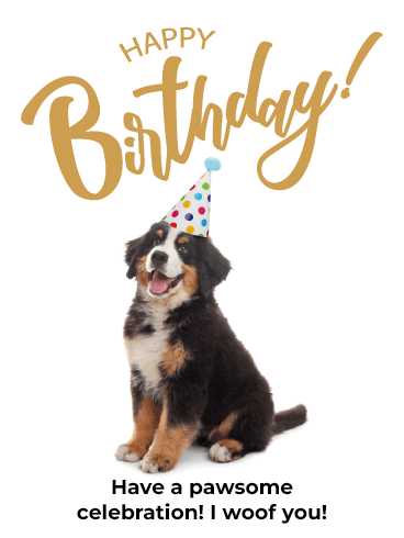 Doggie Birthday –Newly Added Birthday Cards