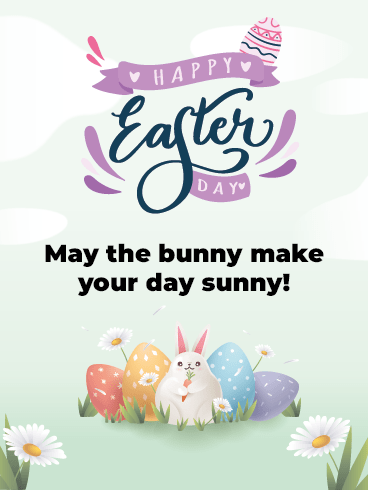 Sunny Bunny –Happy Easter Day Cards