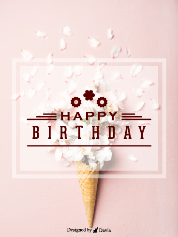 Cone Flowers  – Happy Birthday for Her Cards