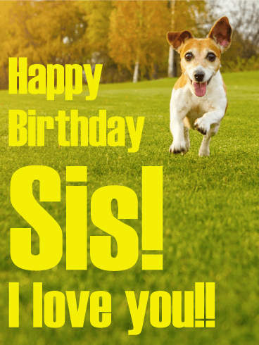 Active Dog Happy Birthday Card for Sister