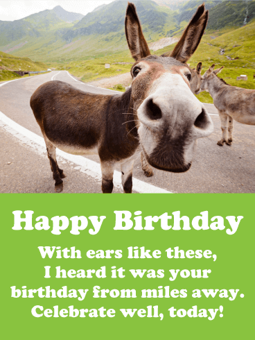 I heard it's Your Birthday! Funny Birthday Card