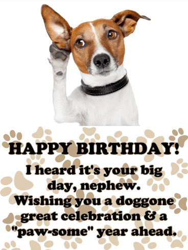 It's Your Big Day! Happy Birthday Card for Nephew