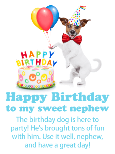 Party Dog is Here! Happy Birthday Card for Nephew