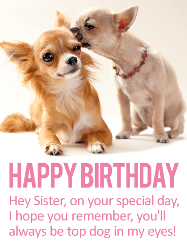You'll Always Be Top Dog! Happy Birthday Card for Sister