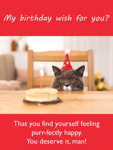 Purr-fectly Happy – Birthday Card for Him