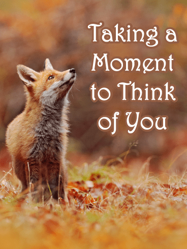 Cute Fox – Thinking of You Card