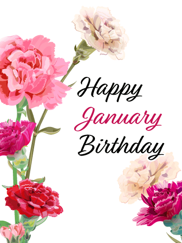 Happy January Birthday Card - Carnation