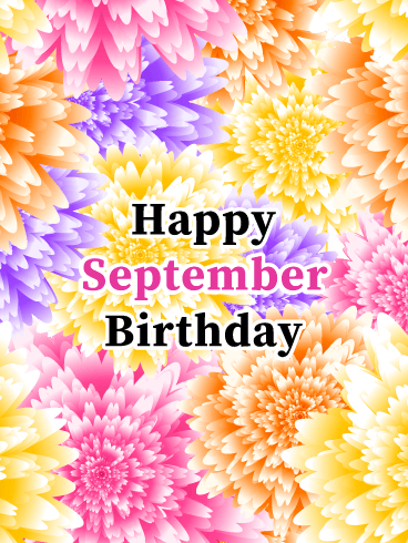 Happy September Birthday Card - Asters