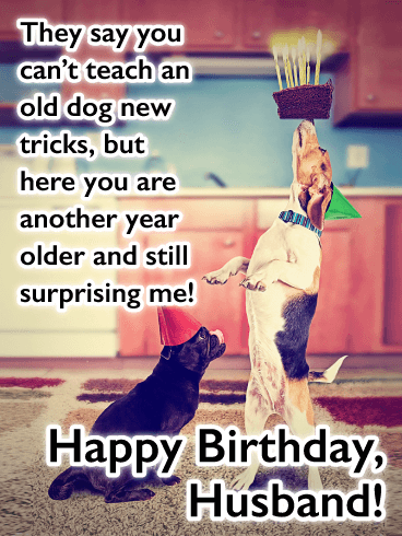 New Tricks - Funny Happy Birthday Card for Husband