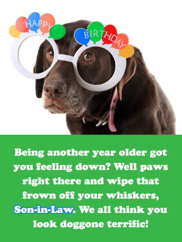 Doggone Terrific- Funny Happy Birthday Card for Son-In-Law