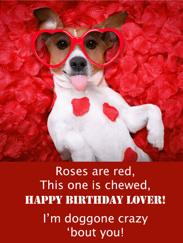 Roses Are Red - Happy Birthday Card for Lovers