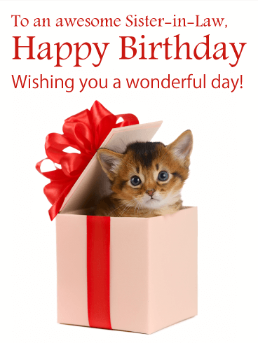 Awesome Kitten - Happy Birthday Card for Sister-in-Law