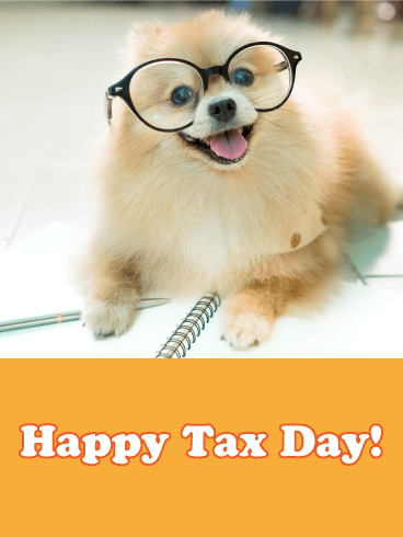 Sweet Pomeranian Tax Day Card