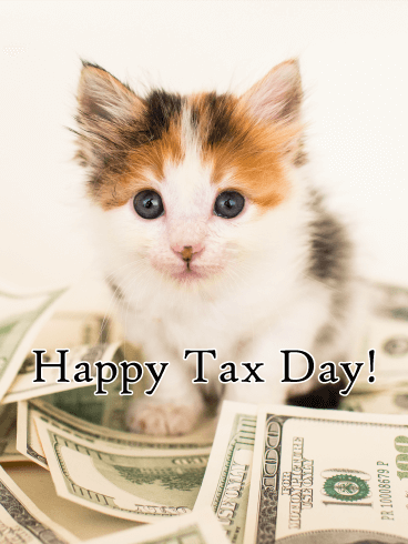 Adorable Kitten - Tax Day Card